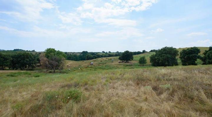 Vente veau à la broche Canale-di-Verde