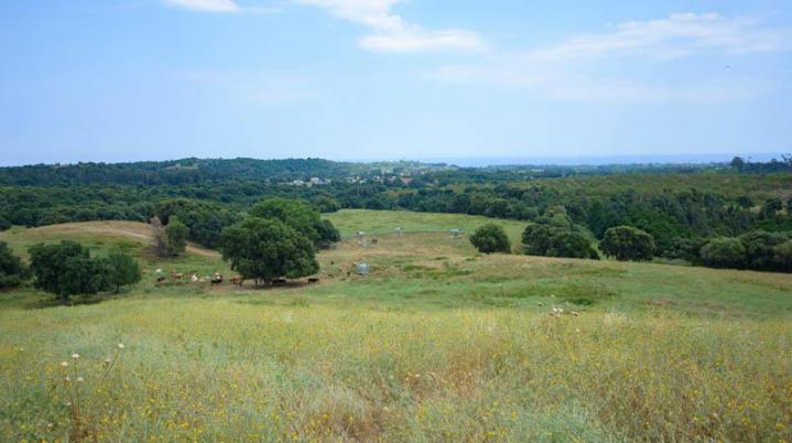 Traiteur soirée Canale-di-Verde