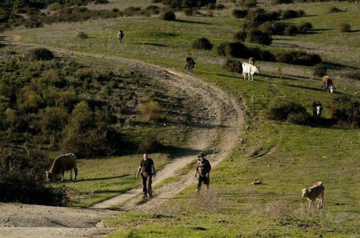 Producteur de viande bio Canale-di-Verde