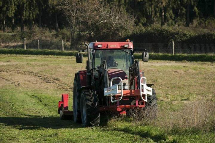 Vente veau à la broche Canale-di-Verde